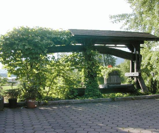 Hotel Landhaus Nendeln Udogodnienia zdjęcie